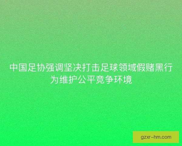 中国足协强调坚决打击足球领域假赌黑行为维护公平竞争环境